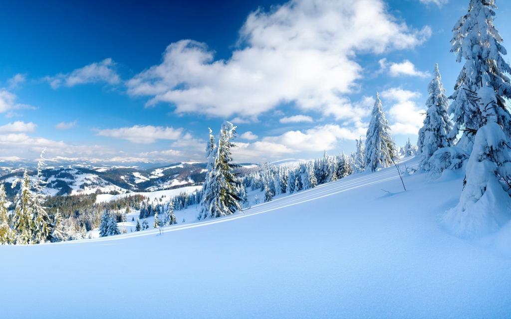 好看的雪景图片壁纸 高清图片 壁纸 自然风景 桌面城市