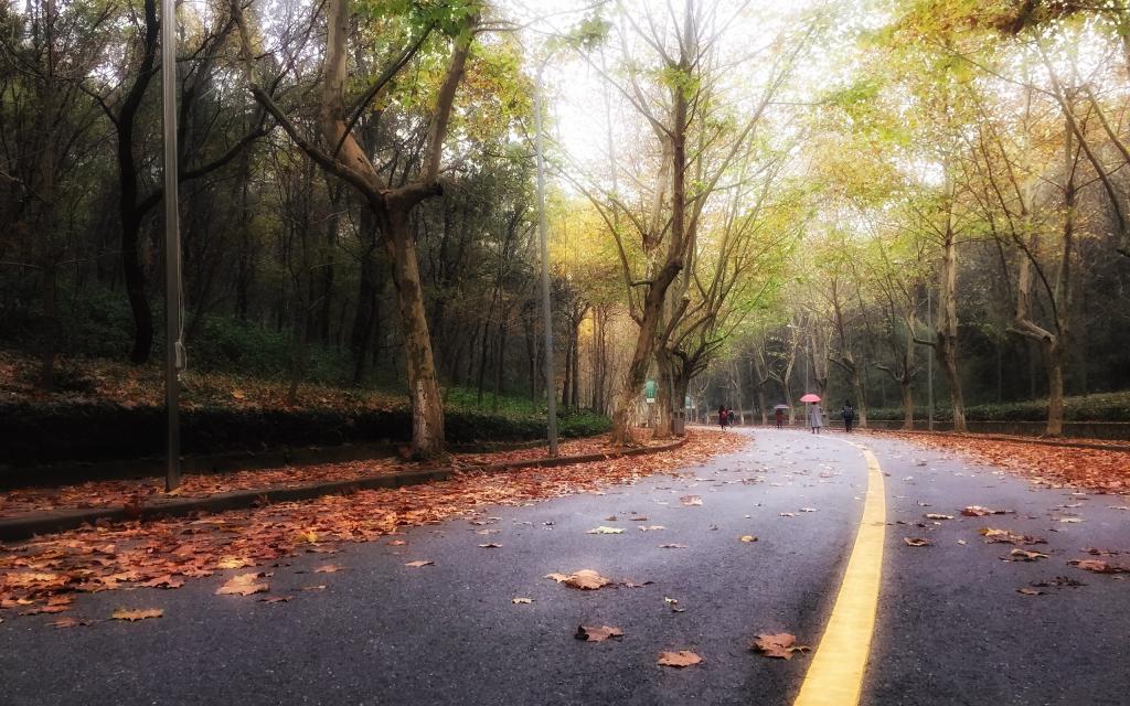 好看的景色图片壁纸 高清图片 壁纸 自然风景 桌面城市