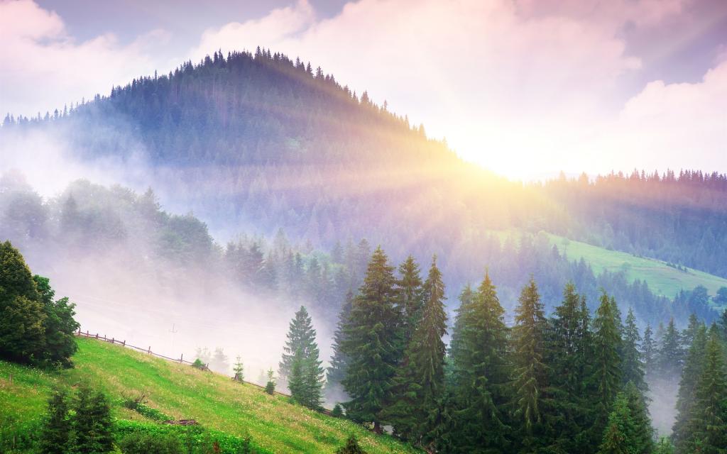 美丽的早晨自然,山,雾,黎明,树木,阳光壁纸