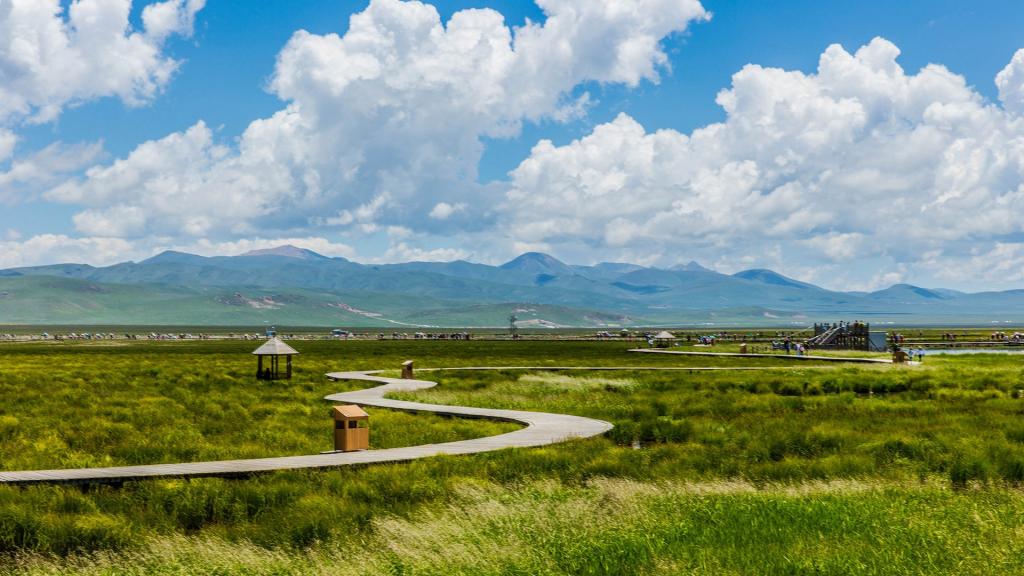 四川若尔盖花湖风景图片