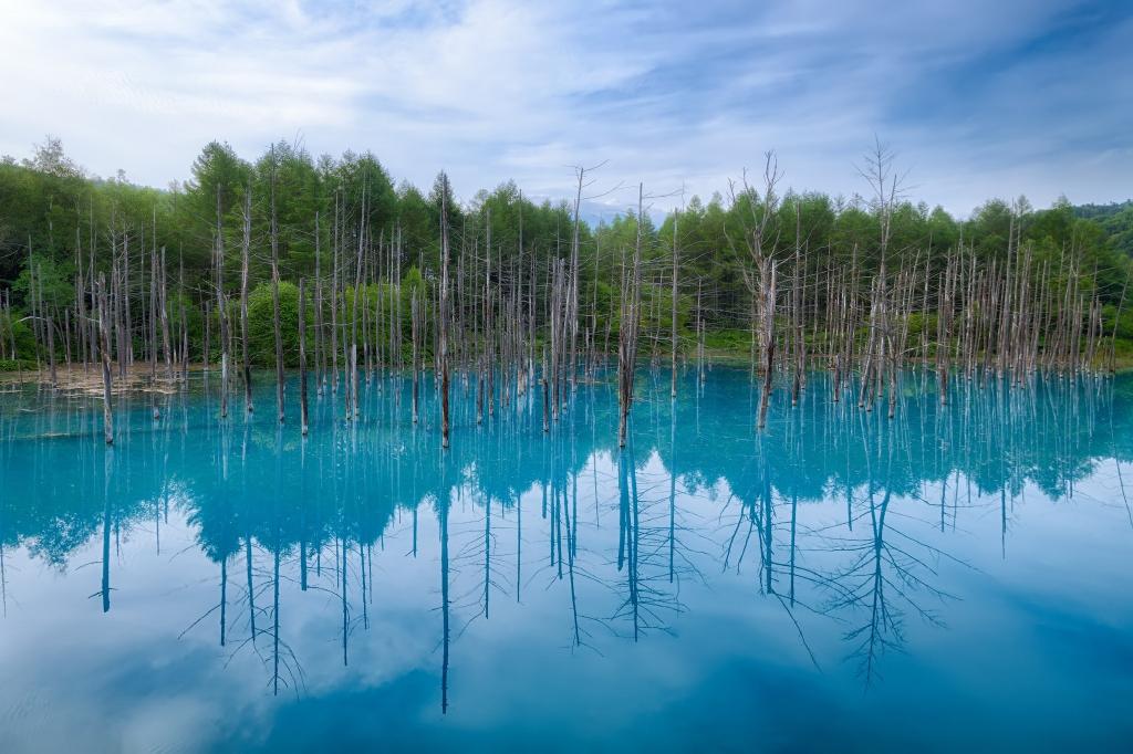 日本 北海道壁纸 高清图片 壁纸 自然风景 桌面城市