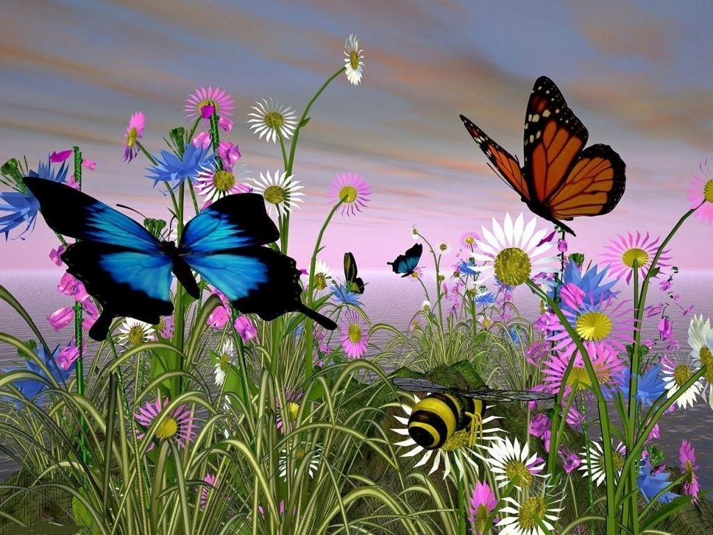 美丽的蝴蝶3d动物蝴蝶颜色自然春天高清壁纸