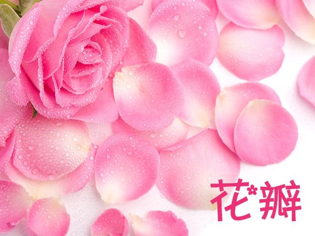 花瓣