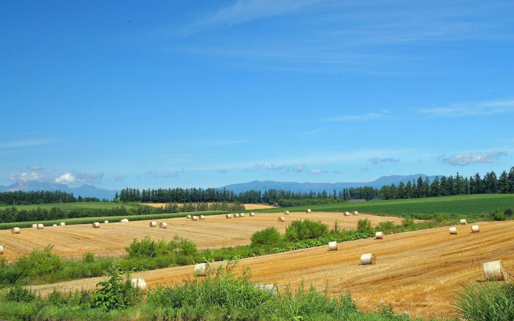 北海道景观总部壁纸 高清图片 壁纸 自然风景 桌面城市