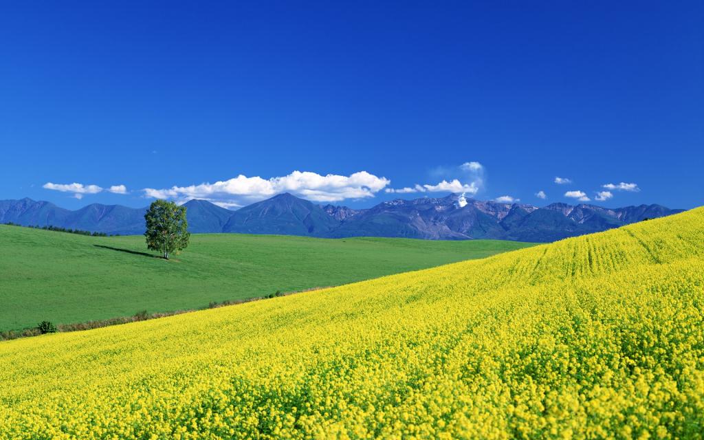 北海道风光第二辑 高清图片 壁纸 自然风景 桌面城市