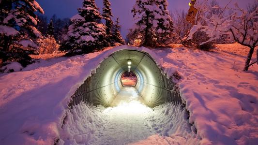 隧道雪冬季树灯高清壁纸