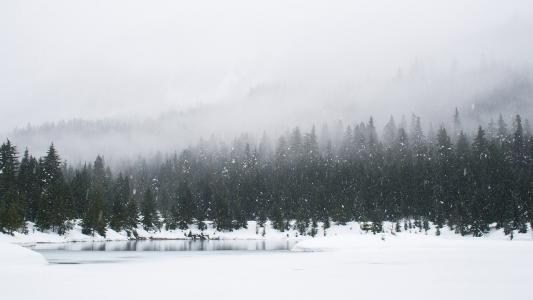 唯美清新雪景