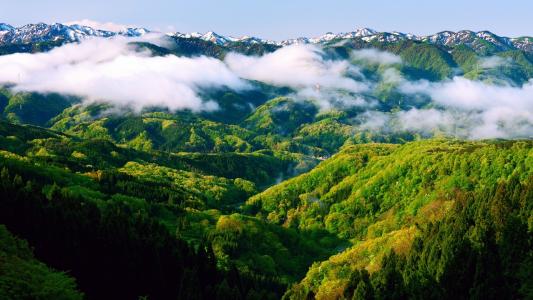 山，高峰，起雾，景观，绿色，自然壁纸