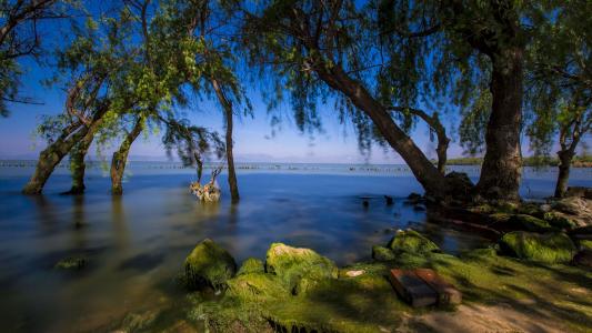 昆明捞鱼河湿地公园风景摄影