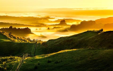 护眼绿色风景