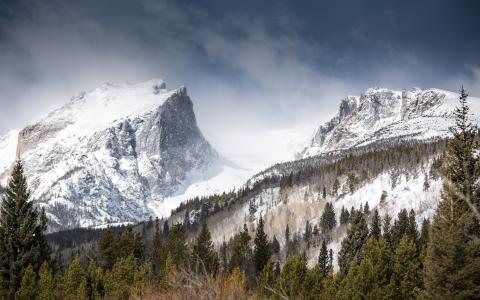 哈利特峰，山，冬天，雪，树木的壁纸