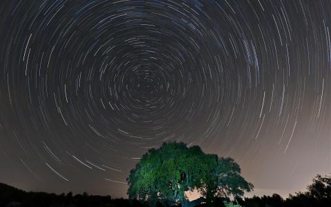 游戏中时光倒流晚上星星树高清壁纸