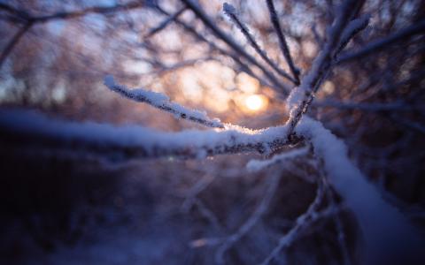 分行宏雪冬季高清壁纸