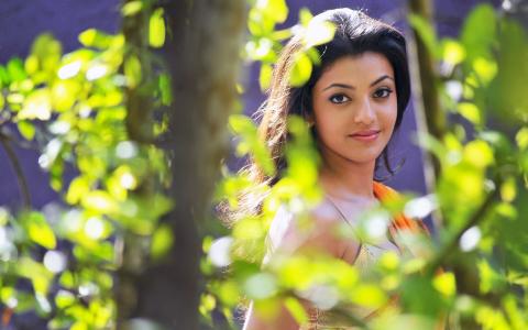 Kajal Agarwal 2014高清壁纸