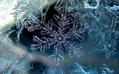 雪花，冬天，宏，冰壁纸