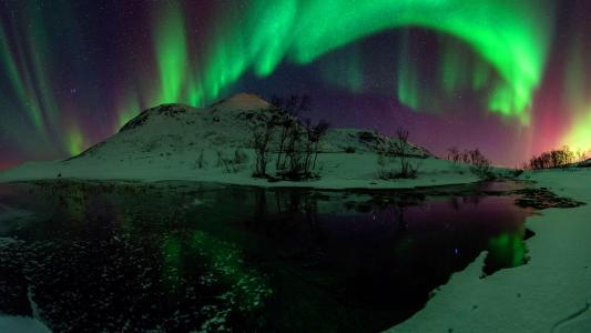 极光Borealis绿色星夜湖壁纸