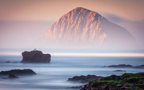 岩石，海，雾，鸟，自然风景壁纸