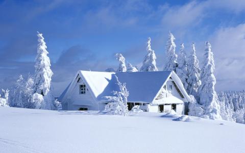 在雪壁纸覆盖的房子