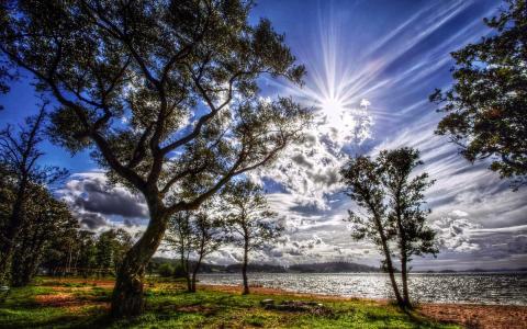 阳光HDR Clouds Trees湖高清壁纸