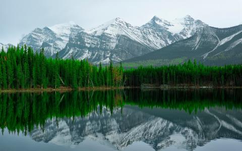 赫伯特湖，班夫国家公园，山，水的倒影壁纸