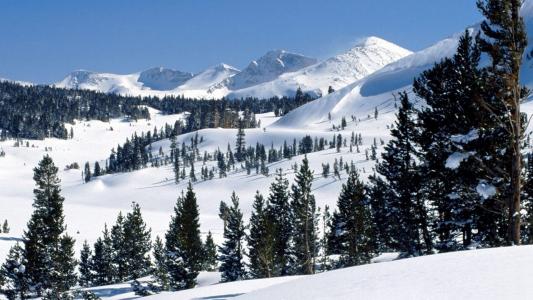 清新淡雅雪景