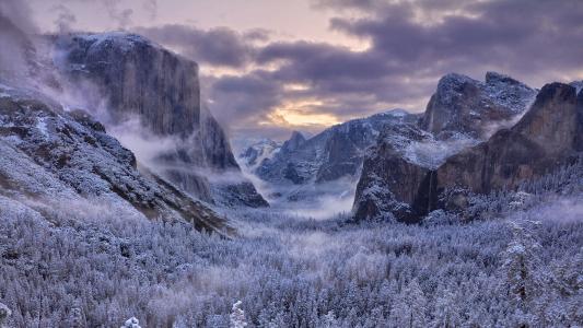 清新淡雅雪景