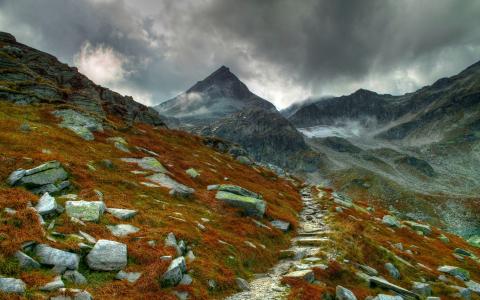 山路，山，岩石，草，苔藓，云壁纸