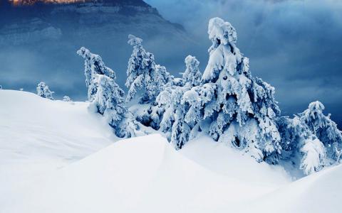 冬日唯美雪景