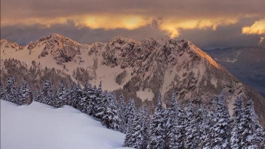 冬季树木景观山雪高清壁纸