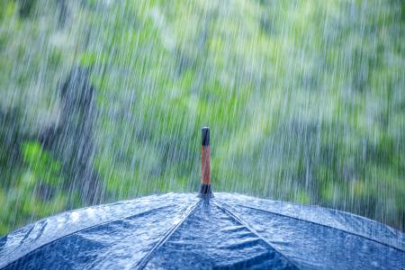 雨，伞壁纸