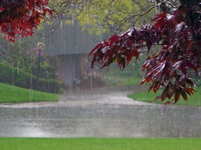 雨高清壁纸