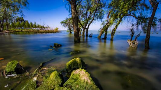 昆明捞鱼河湿地公园风景摄影