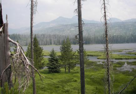 Upper Payette Lake，爱达荷州壁纸