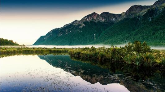 景观，湖，山，植物壁纸