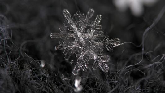 雪花冬季宏观BW高清壁纸