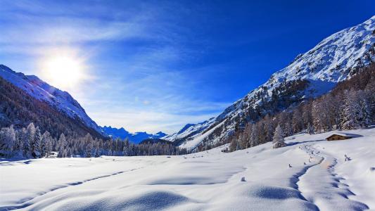 山，冬天，雪，蓝天，树，太阳壁纸