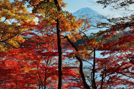 日本，富士山壁纸