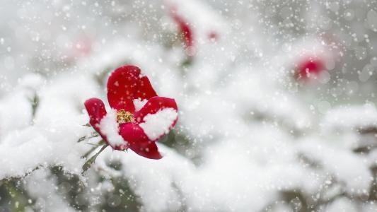 唯美冬季雪景