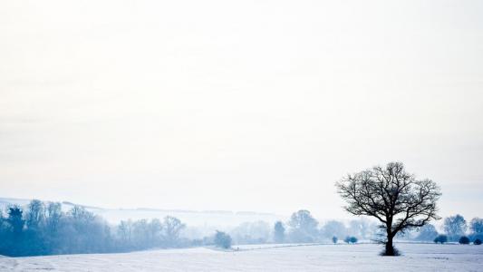 唯美冬日雪景摄影