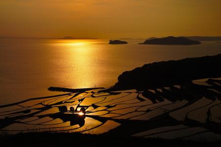 自然海洋海水海岸线海岸线夕阳日出桌面壁纸