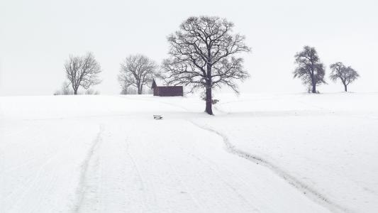 唯美冬季雪景