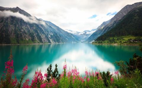 湖，花，山，云壁纸