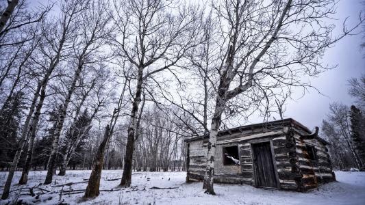 树木小屋雪冬季高清壁纸