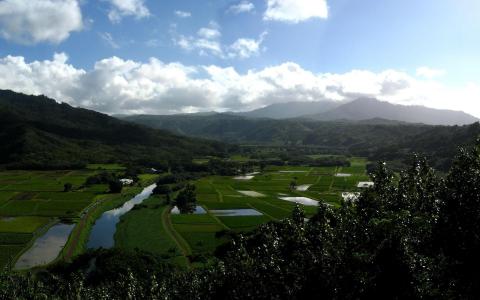 绿色的田野，在山谷壁纸