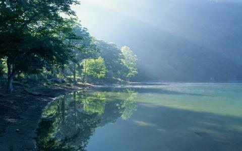 湖岸树阳光高清壁纸