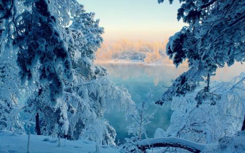 大自然湖泊树木森林阳光日出反射水冬季雪季节森林桌面照片壁纸