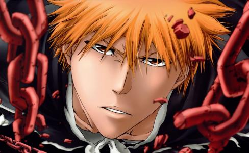 triderm，kurosaki ichigo，意见，shinigami，漂白剂壁纸