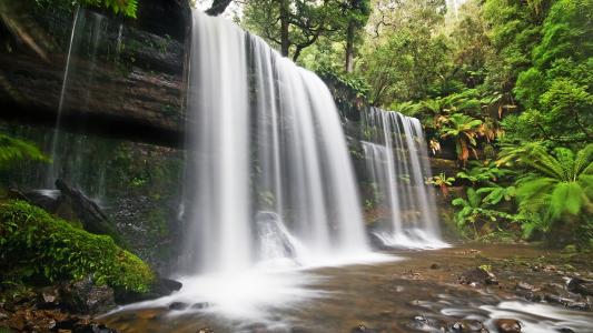 瀑布Timelapse Jungle Moss高清壁纸