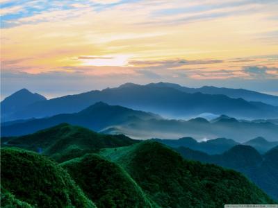 在早晨墙纸的绿色山