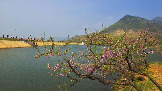 浙江源东乡风景摄影